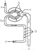哆啦A梦：大雄的月球探险记