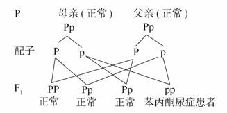 哆啦A梦：大雄的月球探险记