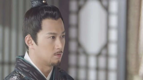 光荣之路上的狗