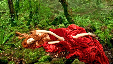 凤归梧桐（国语版）