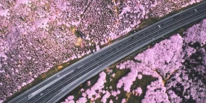 养鬼吃人6：死亡代码