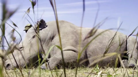 关机 （国语版）