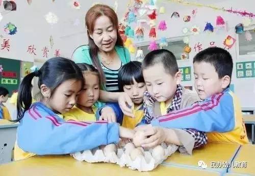 公鸡母鸡拖拉机