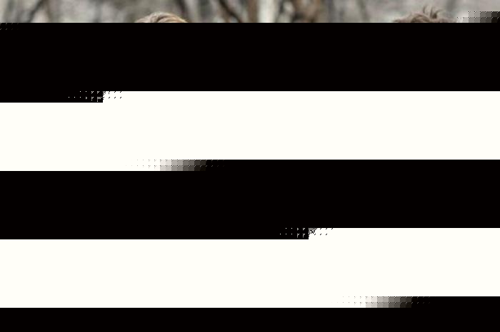 坐怀不乱柳下惠