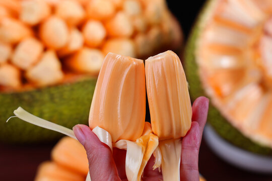 史酷比!毛茸茸的对决