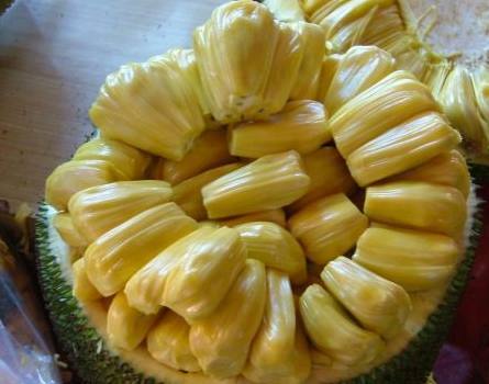 啦啦队之舞：女高中生用啦啦队舞蹈征服全美的真实故事