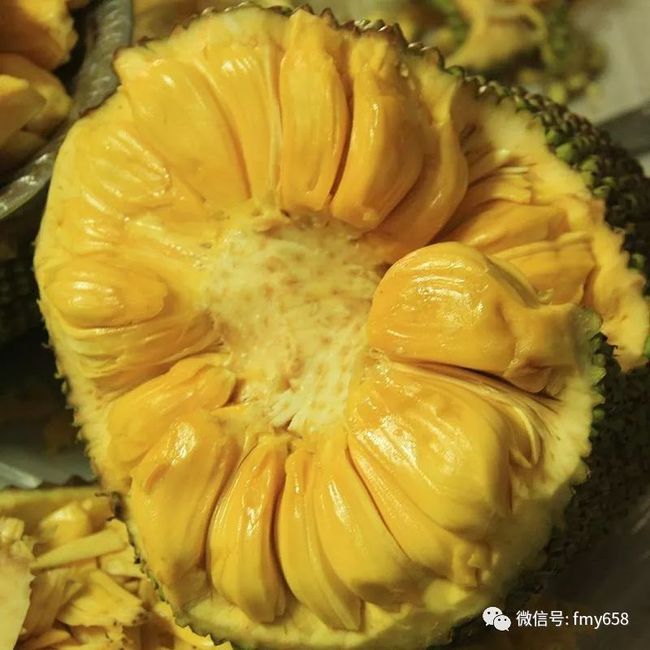 六扇门之御前盗圣